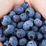 Super food growing to super sizes