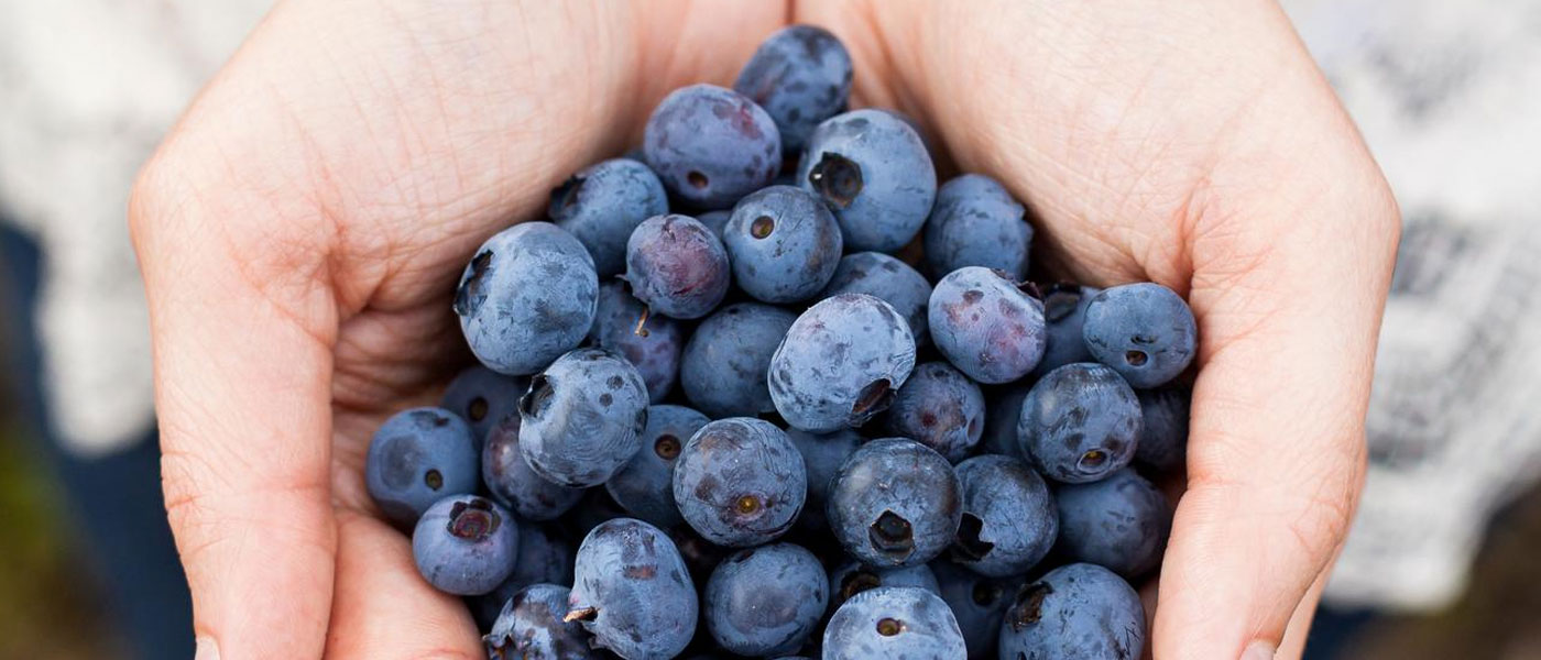 Super food growing to super sizes