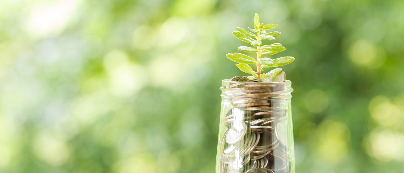 Your Financial Lifeline