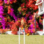 City life link to dementia