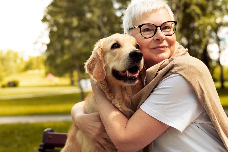 Positive power of pets on brain health