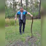 Slithering stories with Glenn Ozzie Lawrence