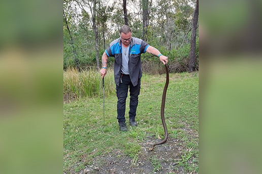 Slithering stories with Glenn Ozzie Lawrence