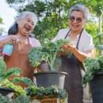 Kickstart your gardening goals for the New Year