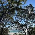 Vans, Sands and Island Plans: Roll Into Minjerribah Magic