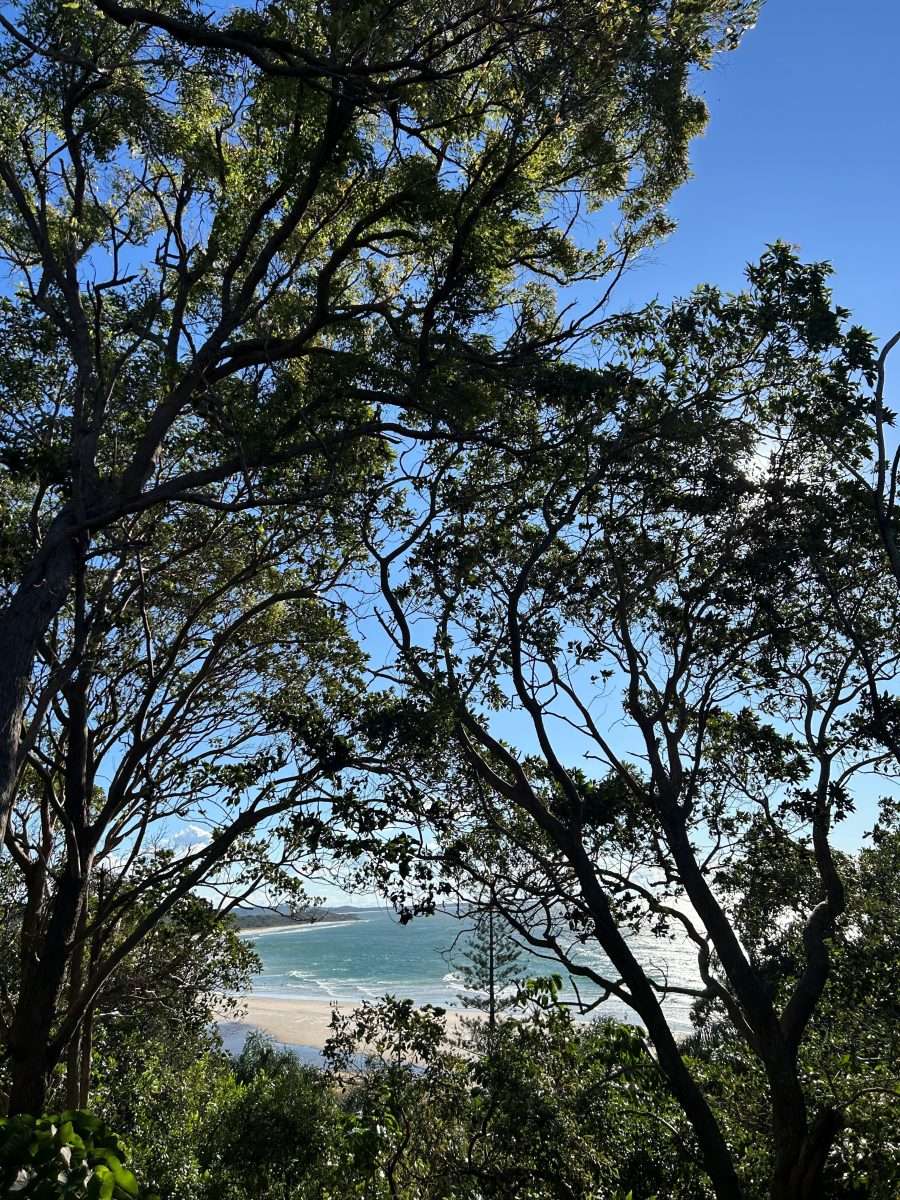 Vans, Sands and Island Plans: Roll Into Minjerribah Magic