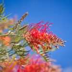 Pull on your gloves and begin digging in the dirt – you’ll love the payoff! 