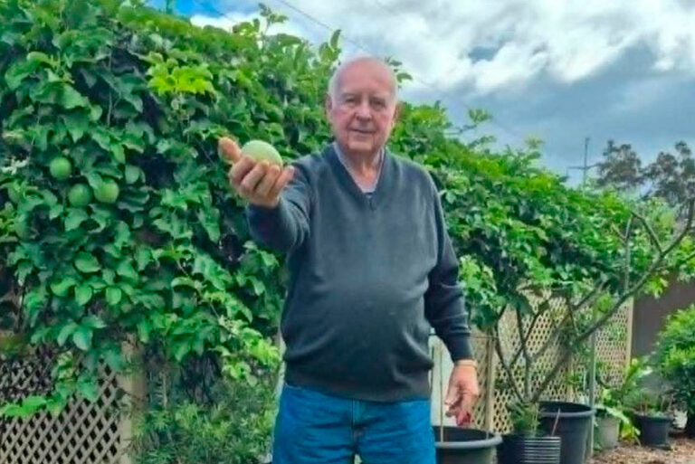Retirement Village Garden Grows Community Connections